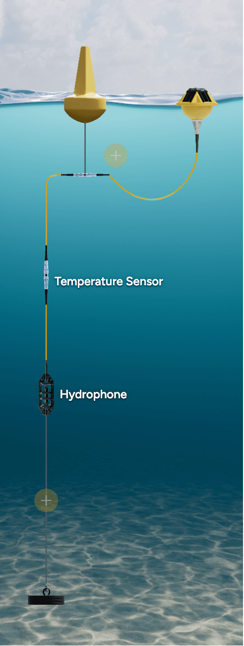Harbor Entrance Acoustic Tracking System