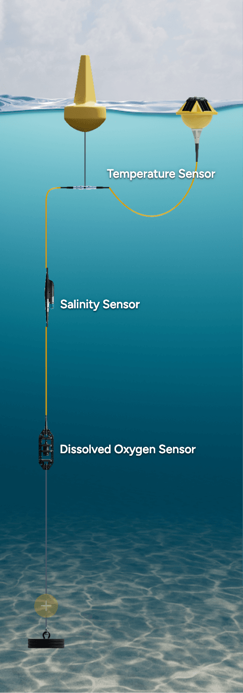 Restoration Site Monitoring