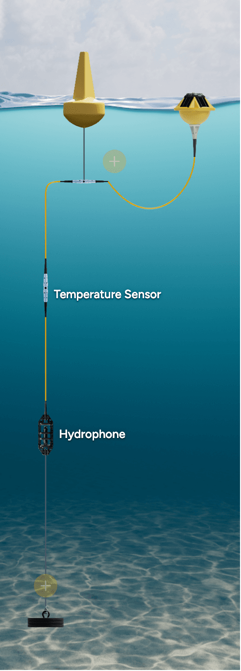 Acoustic Surveillance Station