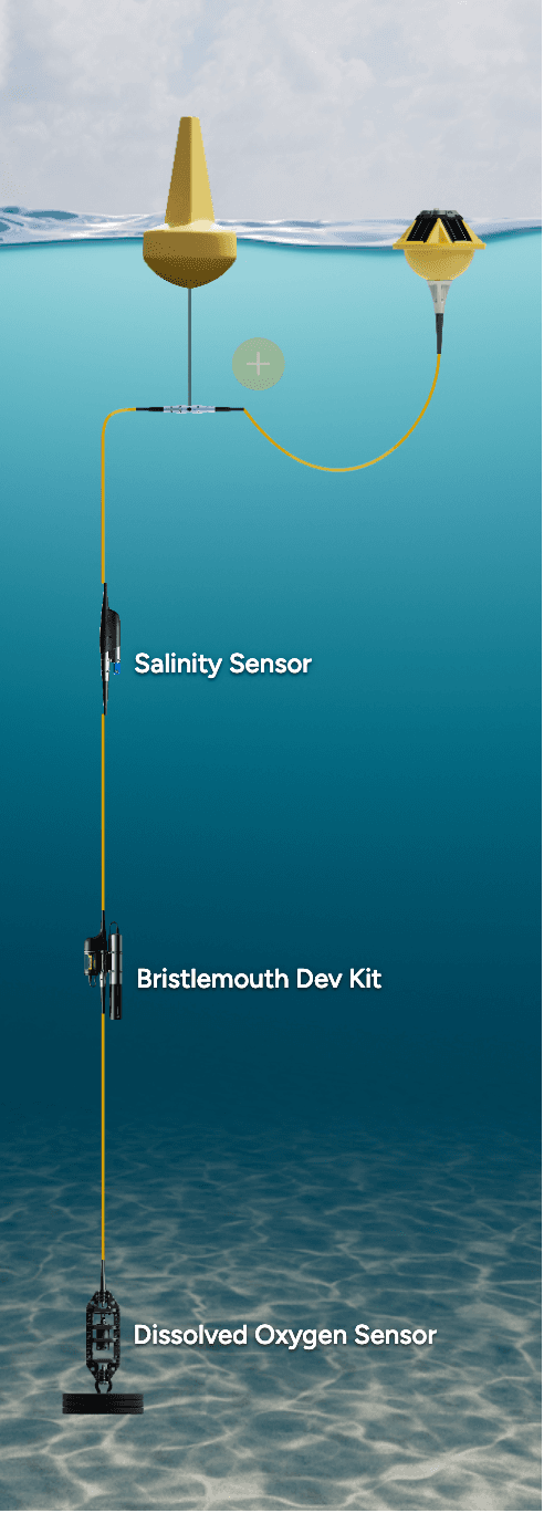 Interior Water Quality Station