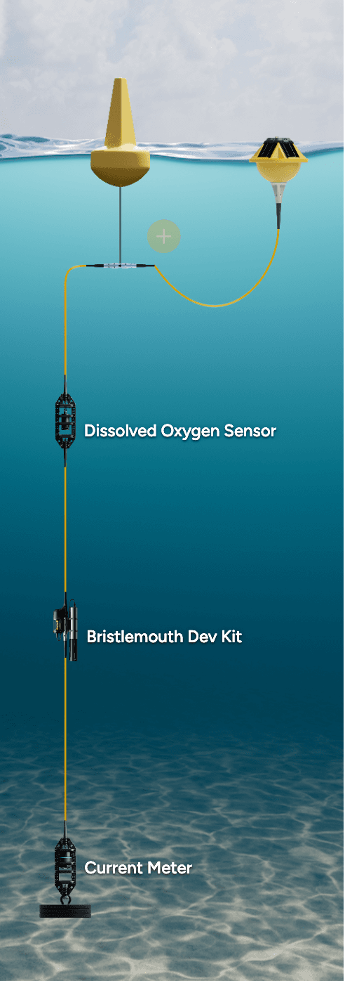 Compliance Monitoring Station