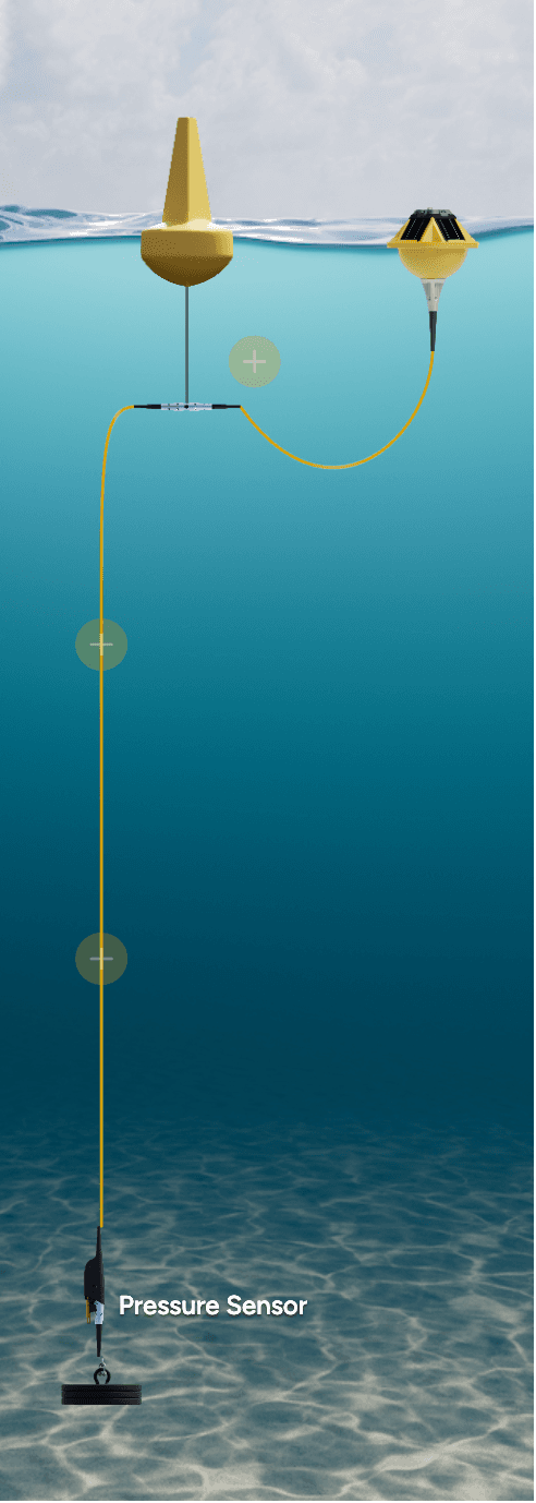 Cruise Berth Motion Monitor